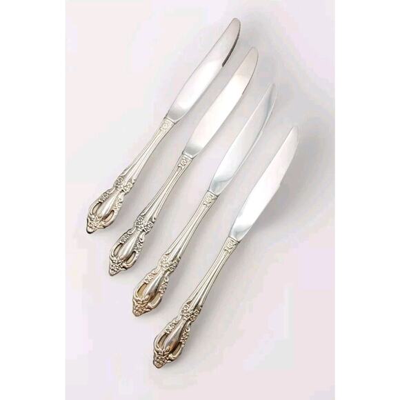 4 Oneida RAPHAEL Dinner Knives Distinction Deluxe Stainless Flatware Discontinue - Picture 1 of 4